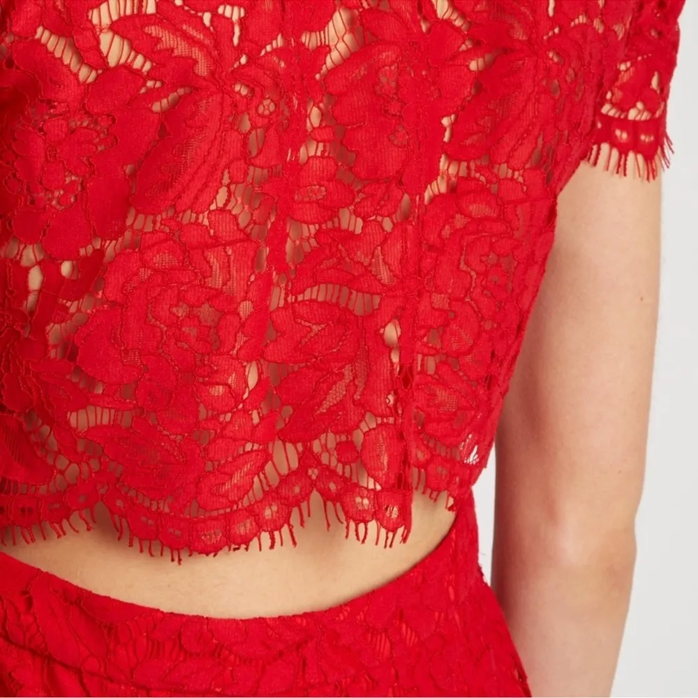 DVF Alma Lace Cutout Dress in Scandal - Size 0 - Image 11