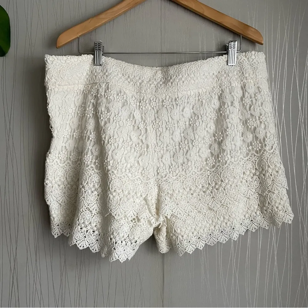 Ann Taylor Loft The Riviera Shorts - Image 4