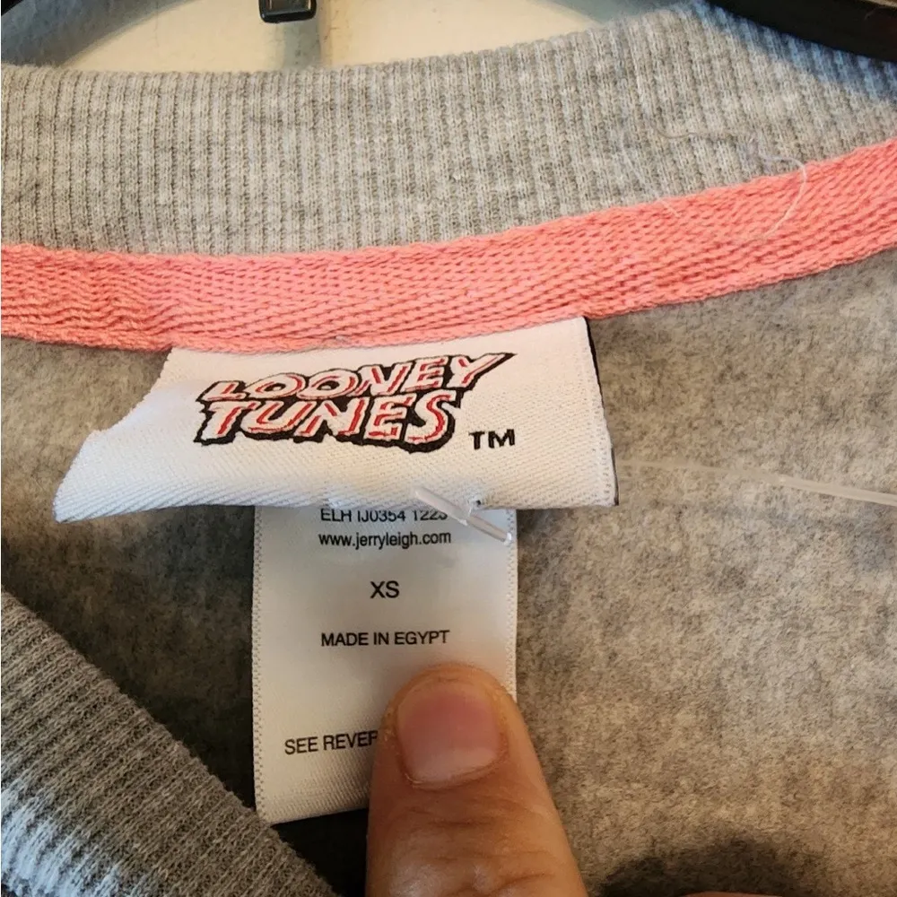 Looney Toons That's All Folks Graphic Print Sweatshirt size womens xs oversized Gray - Image 4