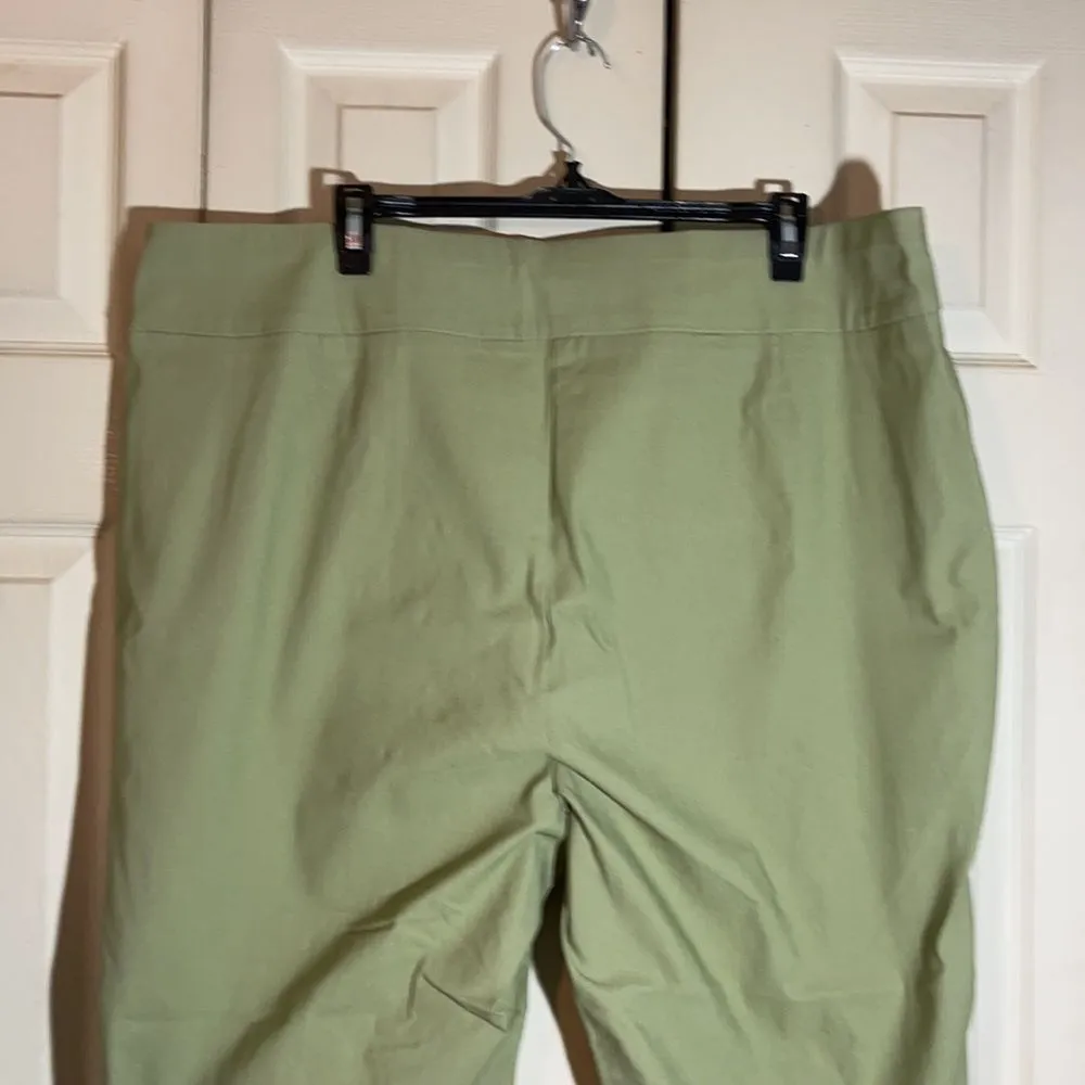 Premise Woman Spring Green Stretch Waistband Ankle Cropped Pants Size 3X NWT - Image 8