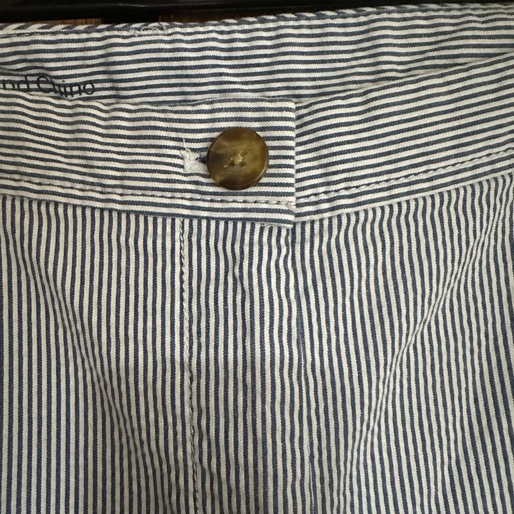 Talbots Blue Striped Pants - Image 3