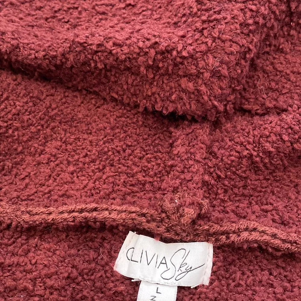 NWT Olivia Sky Sweater Hoody - Image 2