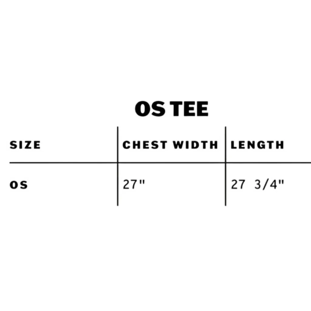 DAYDREAMER Bruce Springsteen AMERICANA Red Tee, One Size, New w/o Tag MSRP $88 - Image 6