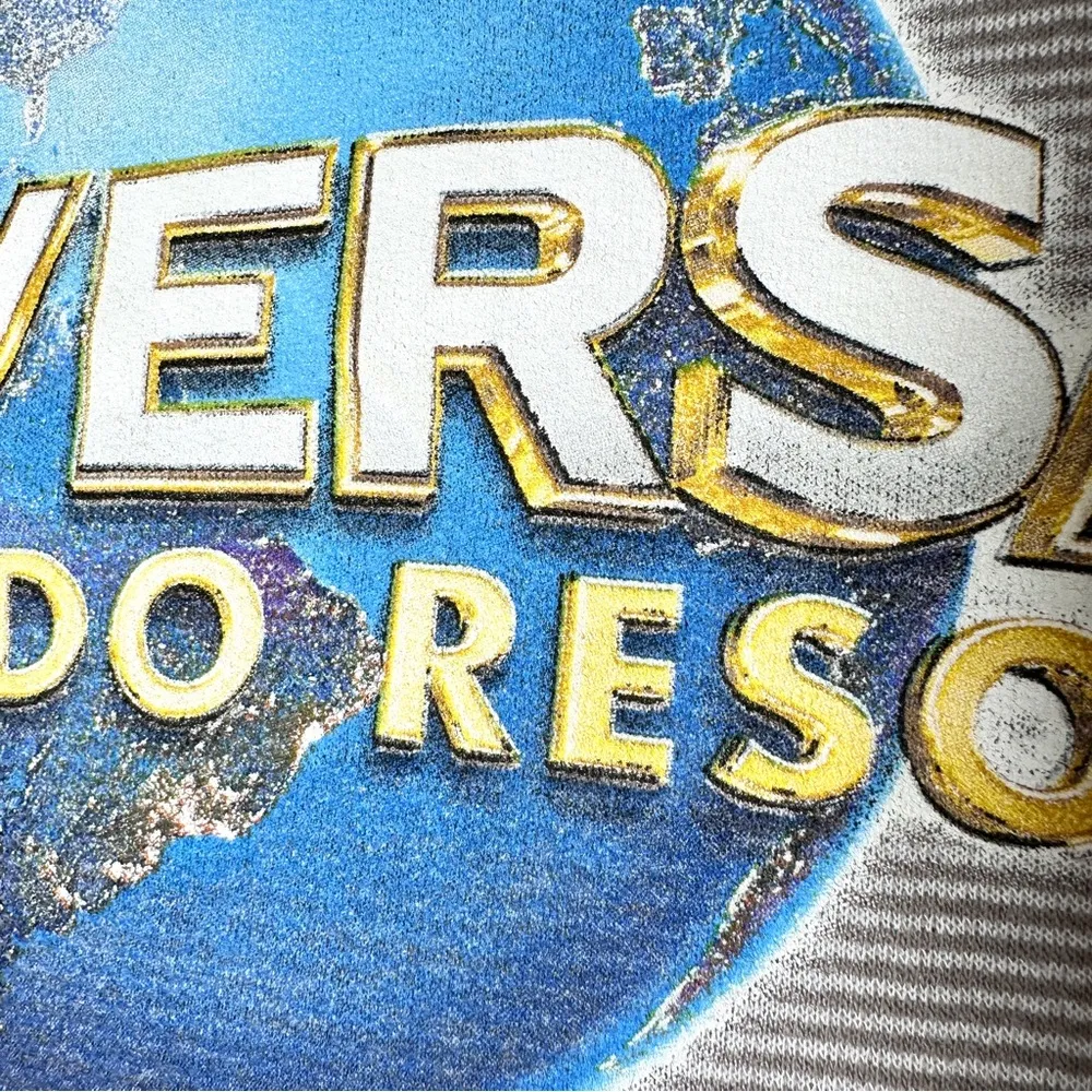 Universal Studios Orlando Resort Hooded Sweatshirt M Hoodie Stripes Pocket Gray Size M - Image 3