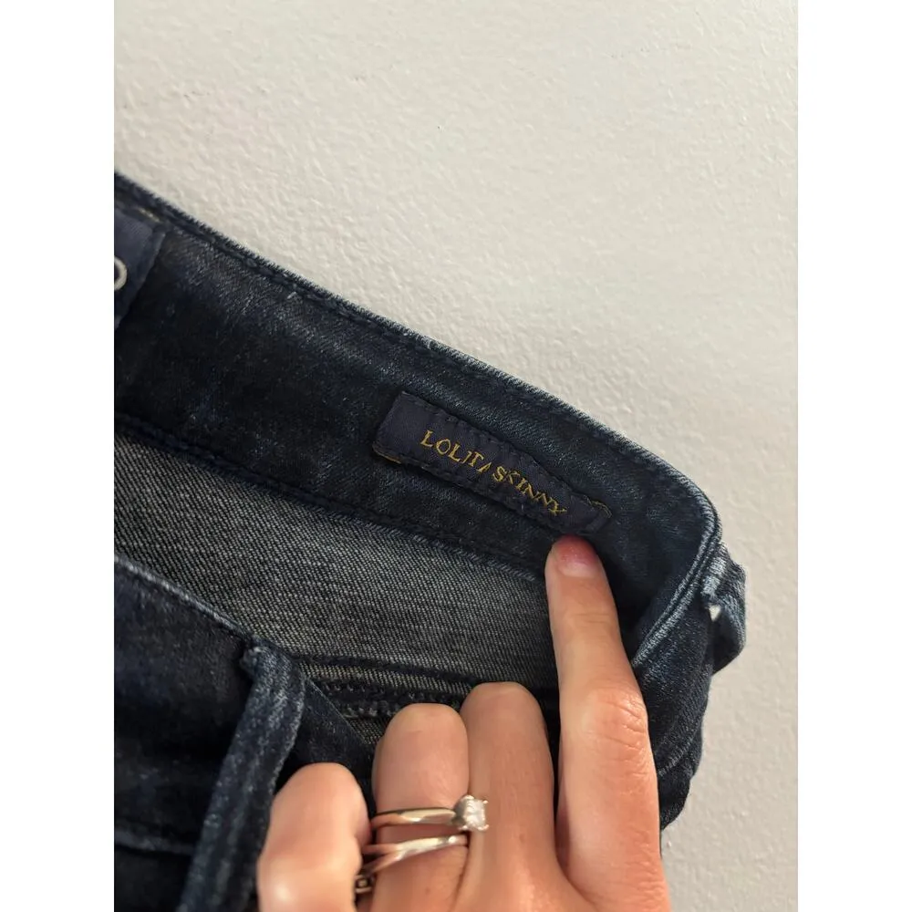 Lucky Brand Womens Lolita Skinny Jeans Size 0/25 Dark Wash Denim - Image 3