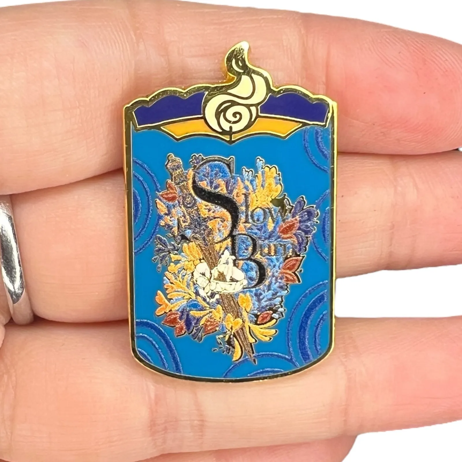 Darkly Bookish Box Salt Kiss Cabinet of Curiosities Pin - Image 2