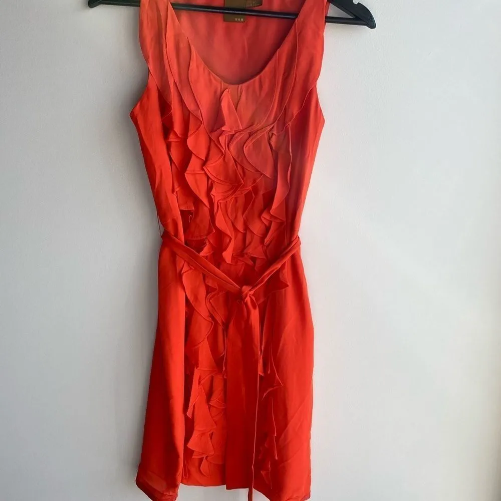 Ali Ro‎ Silk Dress - Image 9