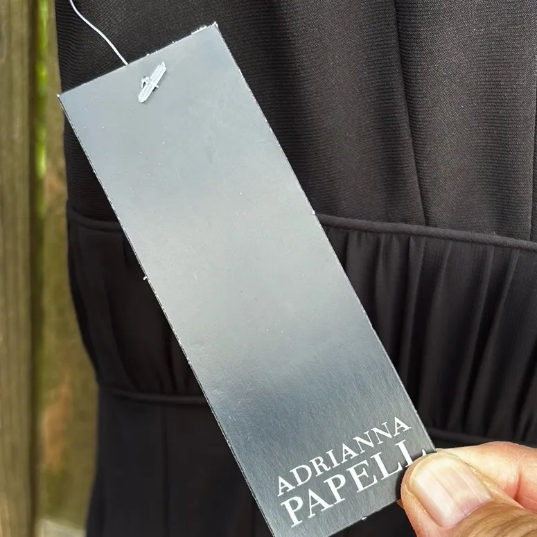 NWT Adrianna Papell Fit Flare Ruched Waist Lace Panel V Neck Twirl Skirt Dress 4 - Image 10