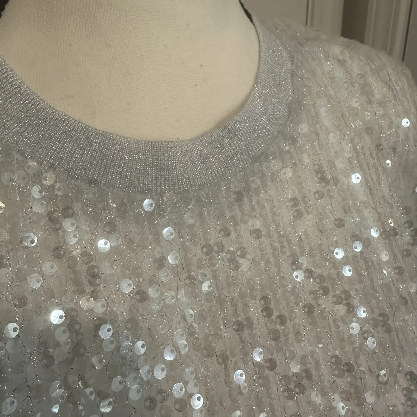 Grey Lab Sequin Open - Image 2