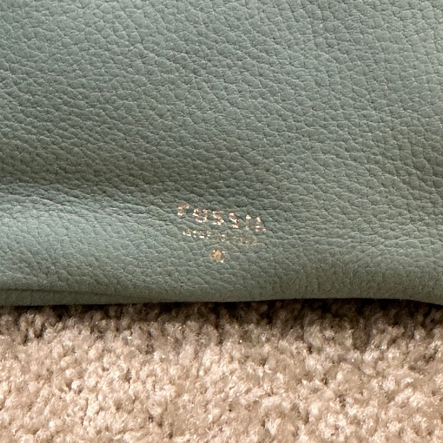 Fossil Sydney Mint Green Pebbled Leather Crossbody Camera Bag Coastal Preppy - Image 3