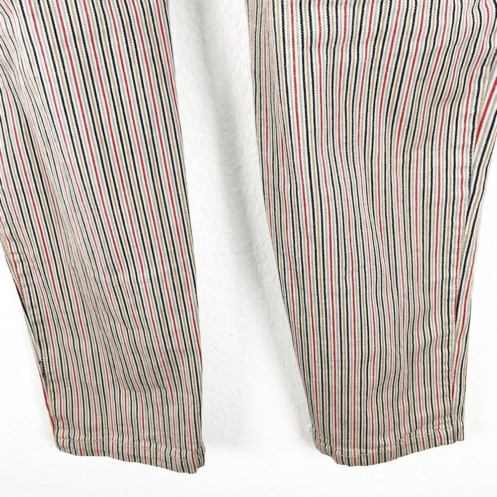PERUVIAN CONNECTION Multicolored Striped Pants, Size 10 - Image 6