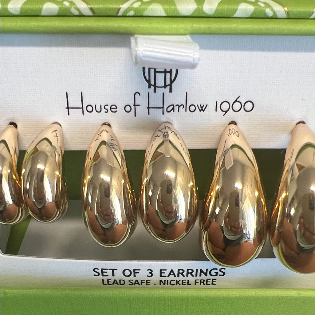 House of Harlow 1960 | Hoop Earring Trio ✨ - Image 5