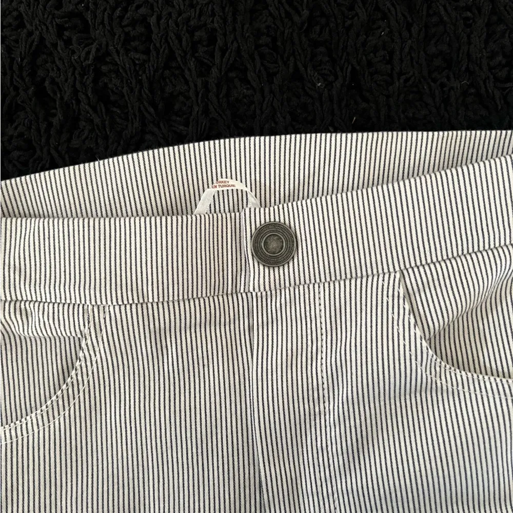 Free People Striped Florence Crop Railroad High Rise Pants Womens Small - Image 5