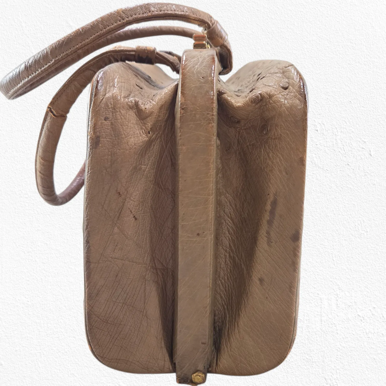 Vintage 50s Genuine Ostrich Leather Beige Top Handle Frame Bag with Coin Purse Tan - Image 7