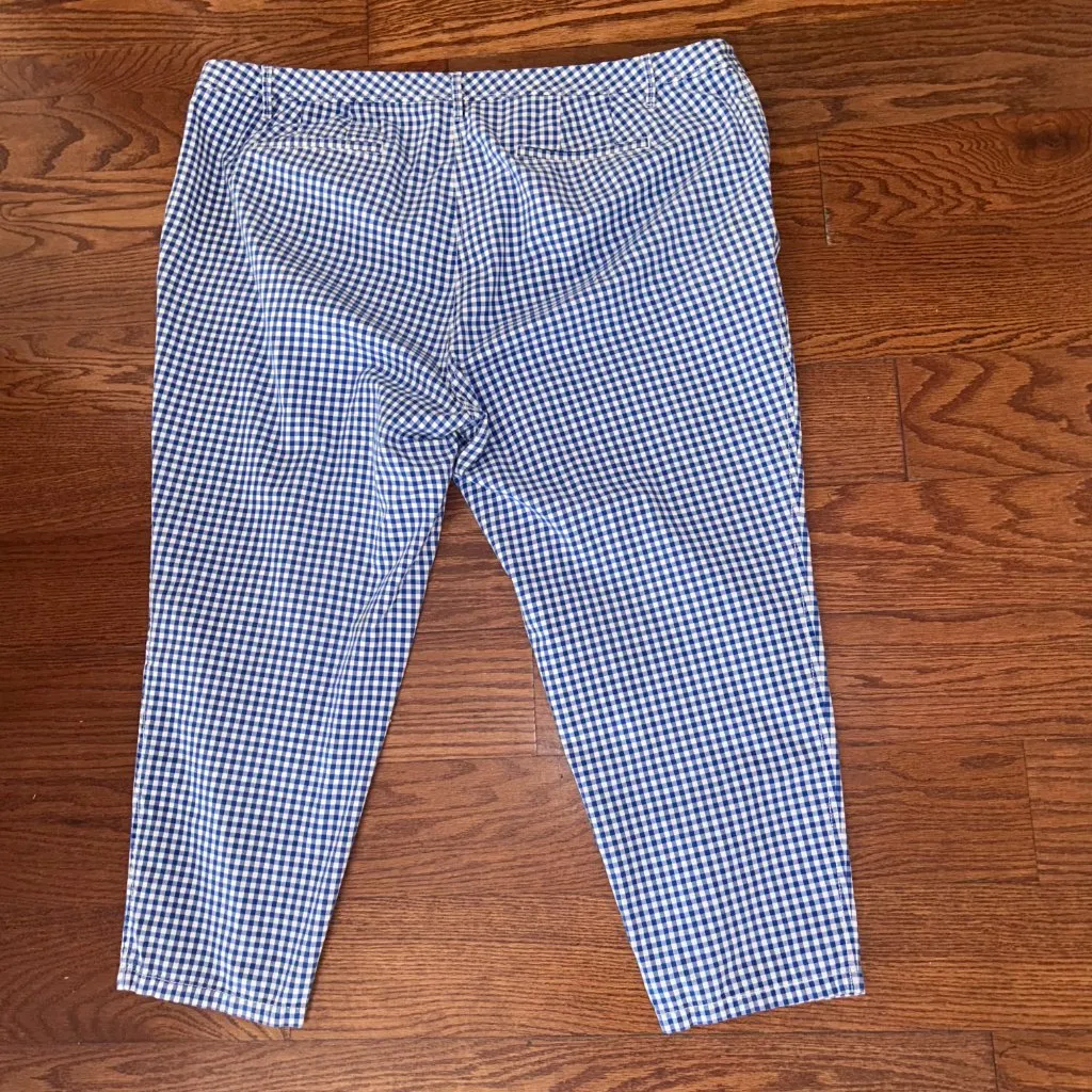 Talbots Girlfriend Chinos Ankle Length Two Pair Bundle Plus Size 22W Pink Blue - Image 11