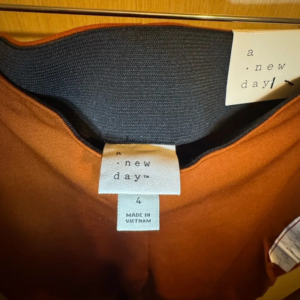 Rust Orange Ankle Length Pants - Image 4