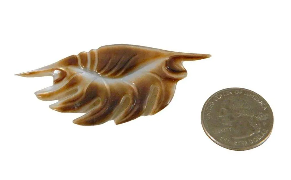 Mother of Pearl Hand Carved Shell Brooch, Vintage Mother Pearl Brown Shell Pin - Image 4