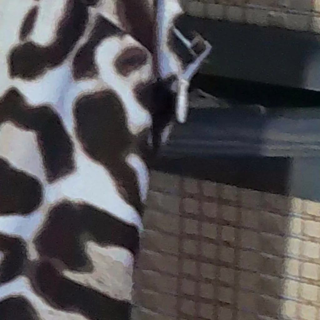 NY & Co 7th Street Design Studio Leopard Print Blouse Brown Size L - Image 6