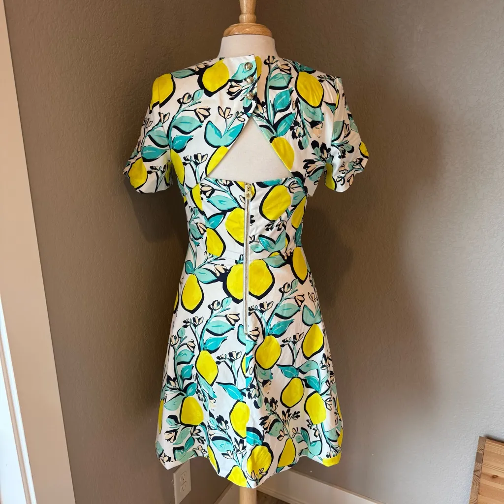 Draper James Floral and Lemon Dress in Yellow and Green 8 - Image 4