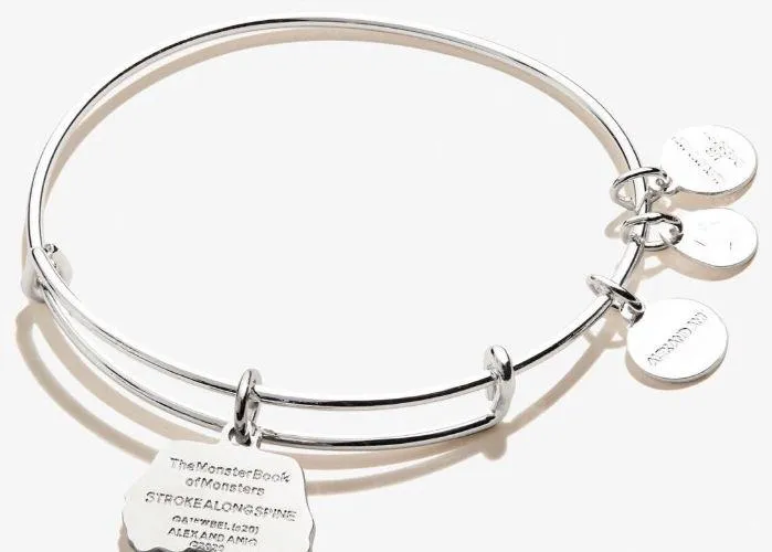 Harry Potter Monster Book of Monsters Charm Bangle - Image 2