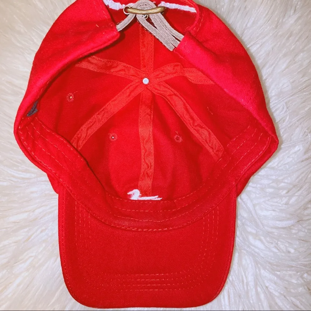 Southern marsh hat - Image 4