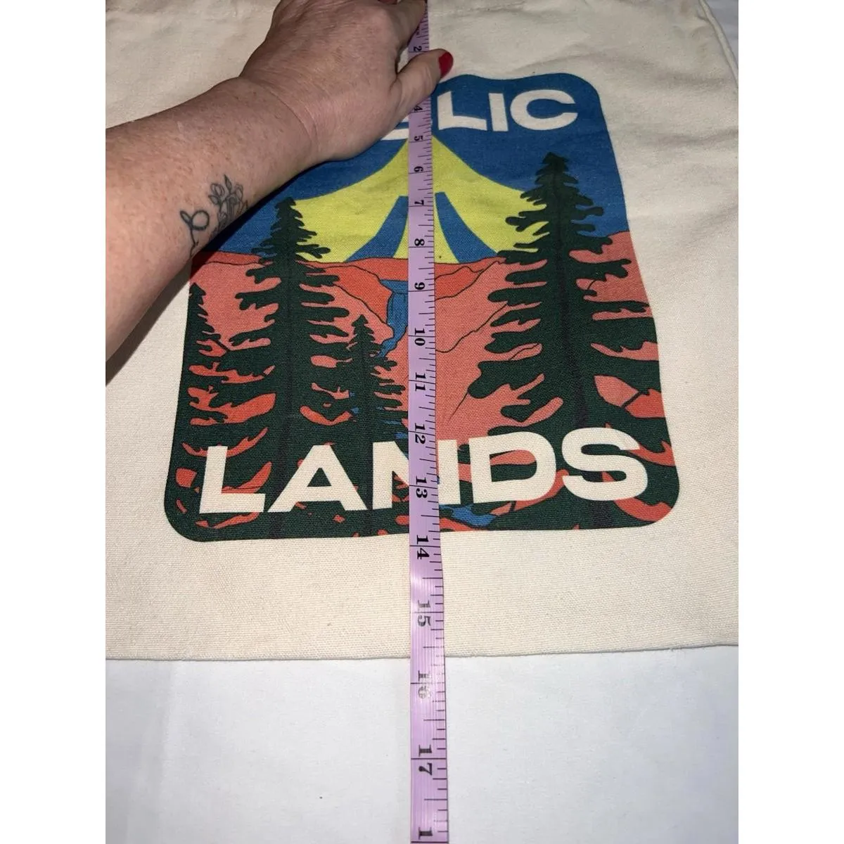 Public Lands Graphic Tote Bag 15"x15.5" Outdoor Conservation Canvas - Image 4