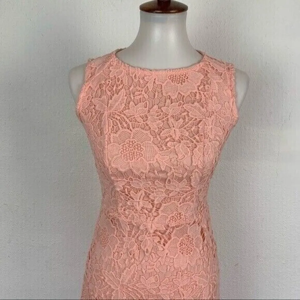 Ryan‎ Michelle Pink Lace Sleeveless Fit And Flare Cocktail Dress S Elegant - Image 2