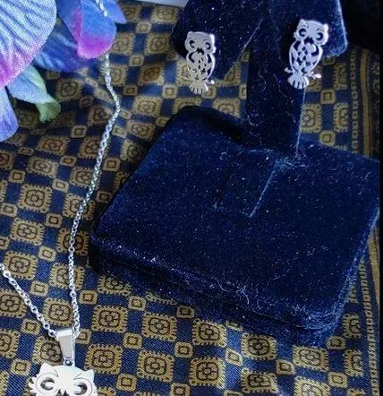 Silver Stainless Owl Necklace Earrings Set - Image 2