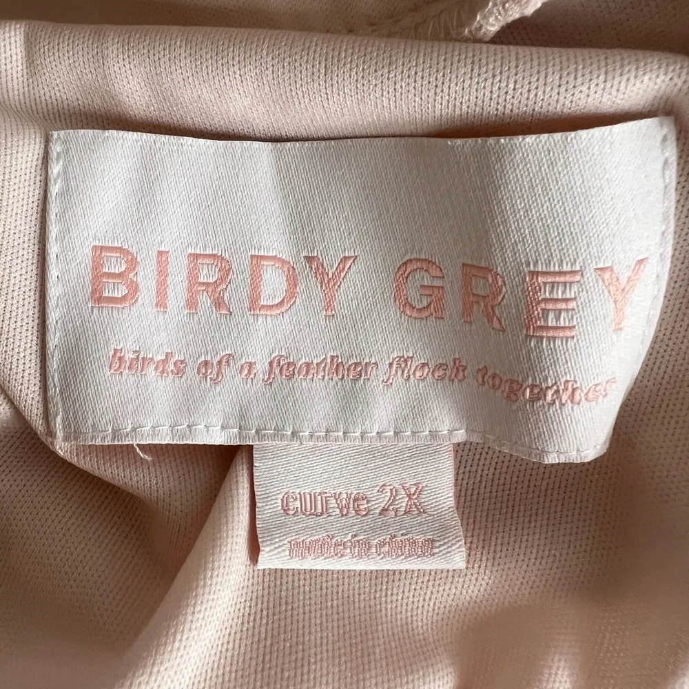 Birdy Grey Elsye Dress Pale Blush Pink Chiffon Bridesmaid Formal Wedding 2X New - Image 7