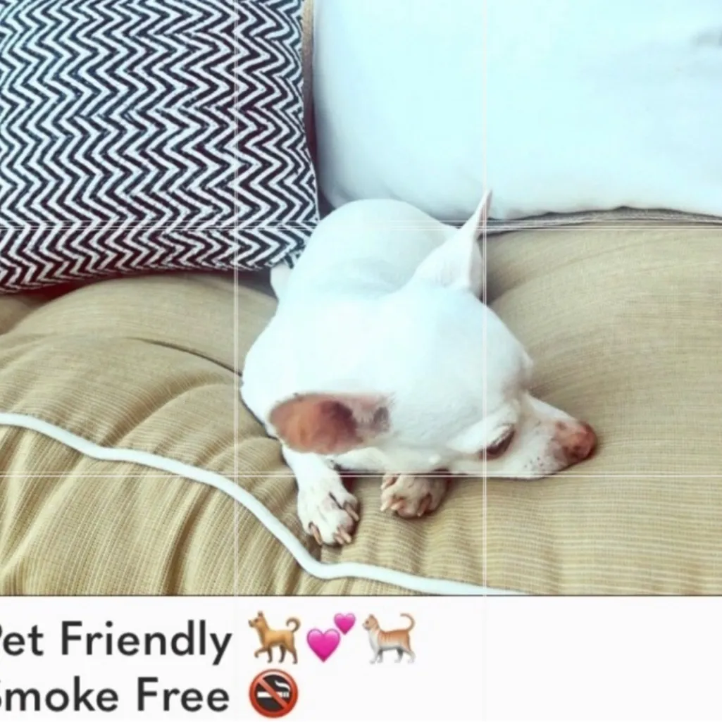 Yessica Maxi in Black Combo
FREE PEOPLE floral prairie sundress - Image 13