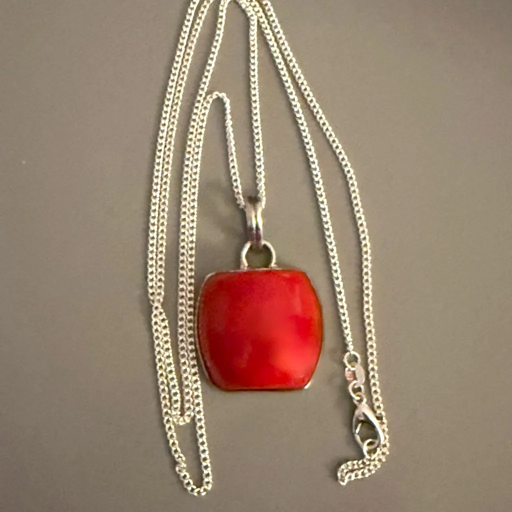 Chic Southwestern Jasper Sterling Silver Pendant w/ Sterling Plate Chain - Image 3