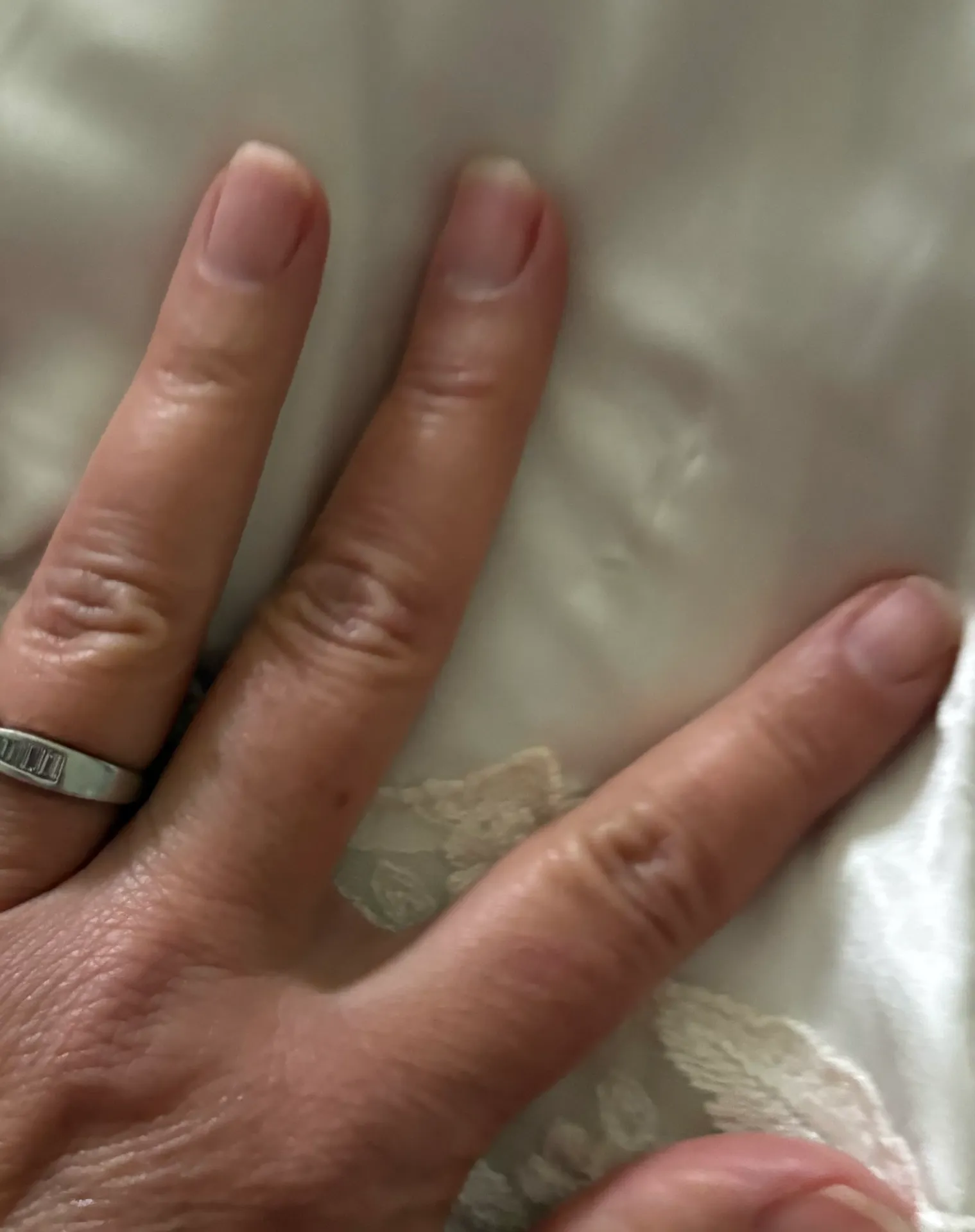 Ivory Satin & Lace Short NWT - Image 6