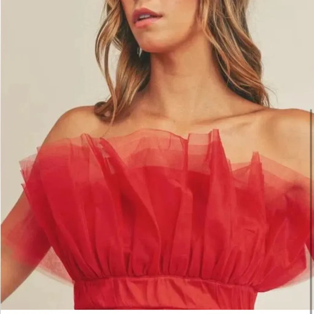 Anthropologie Mable Tulle Tube Top Luxury Elegant Red Strapless Top NWT Balletco - Image 2
