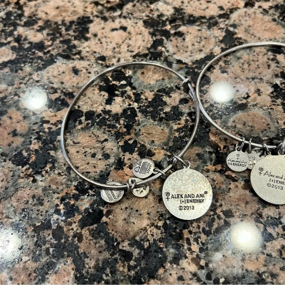 Alex & Ani Charm Bracelet Bundle - Image 4