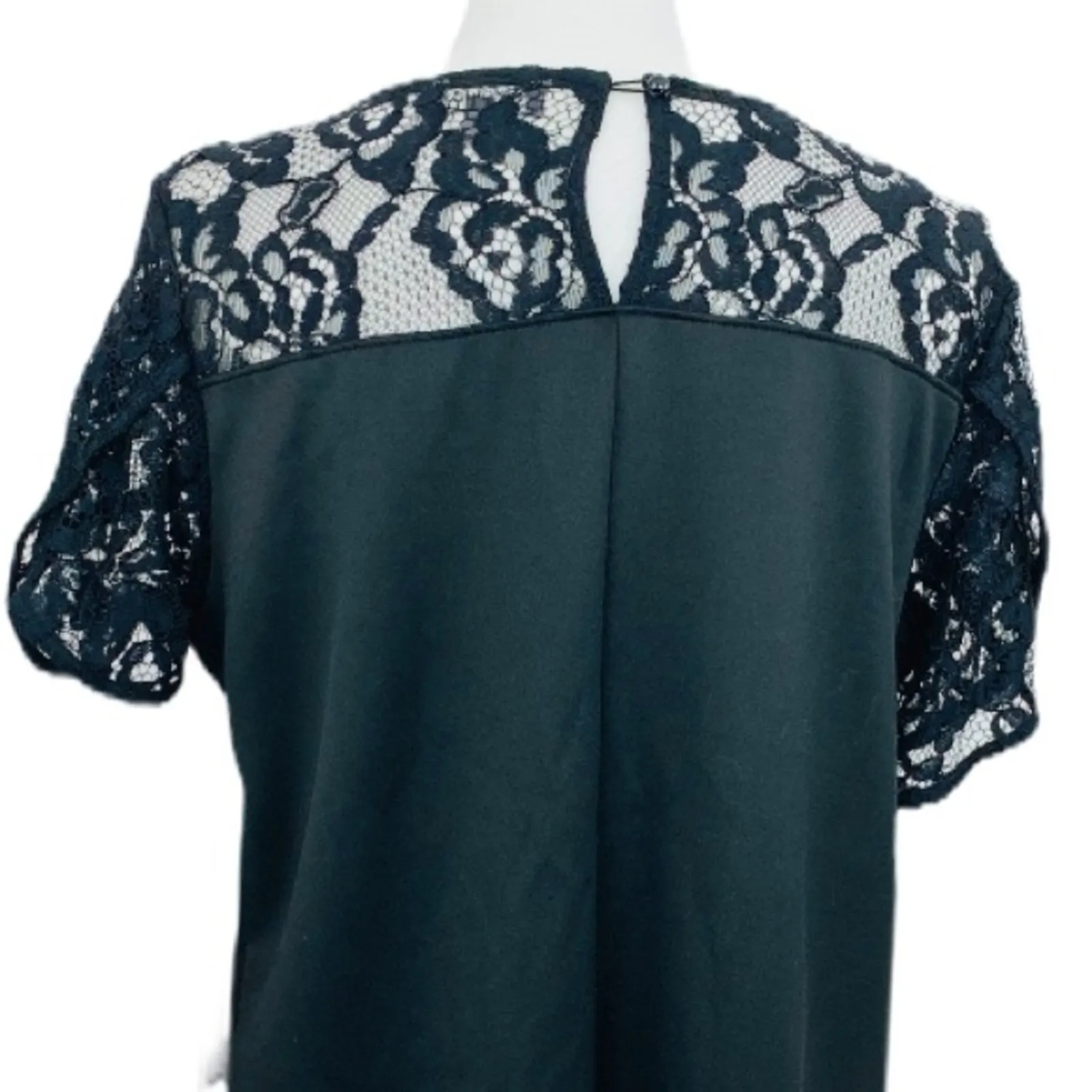 Luxology Dressbarn NEW Women's Black Pink Floral Lace Embroidered Dress Large - Image 8