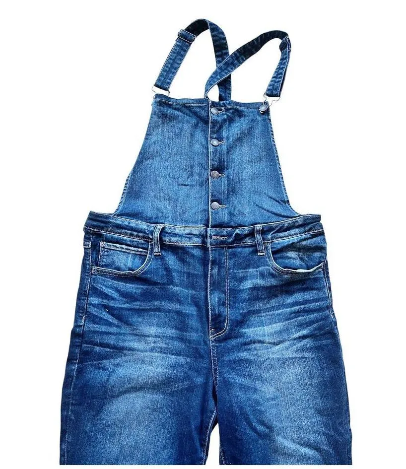 AMERICAN EAGLE Outfitters Next Level Stretch Denim Overalls Jegging 18L EUC - Image 4