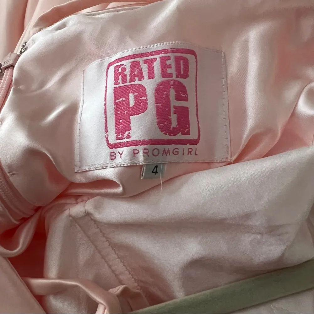 PG NWT Blush formal dress size 4 - Image 5