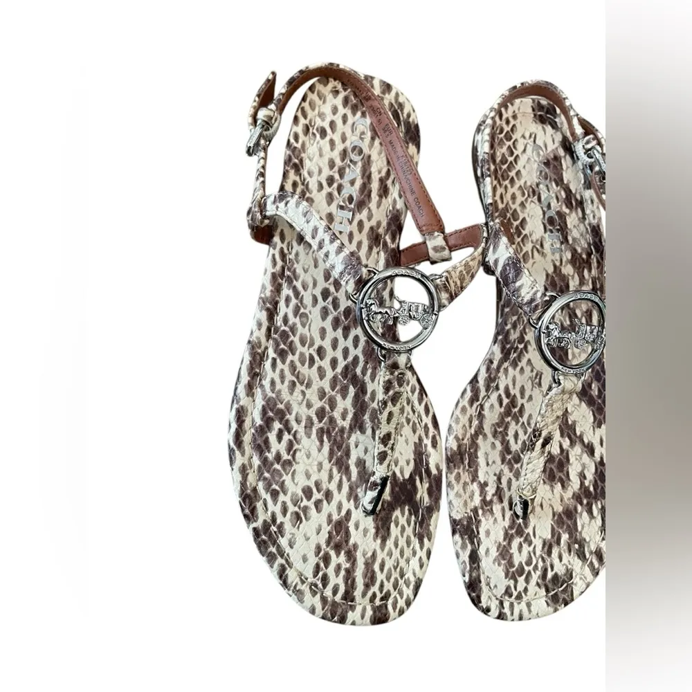 Coach Jazmin Leather Faux Snakeskin Natural Thong Strap Buckle Sandal - Image 2