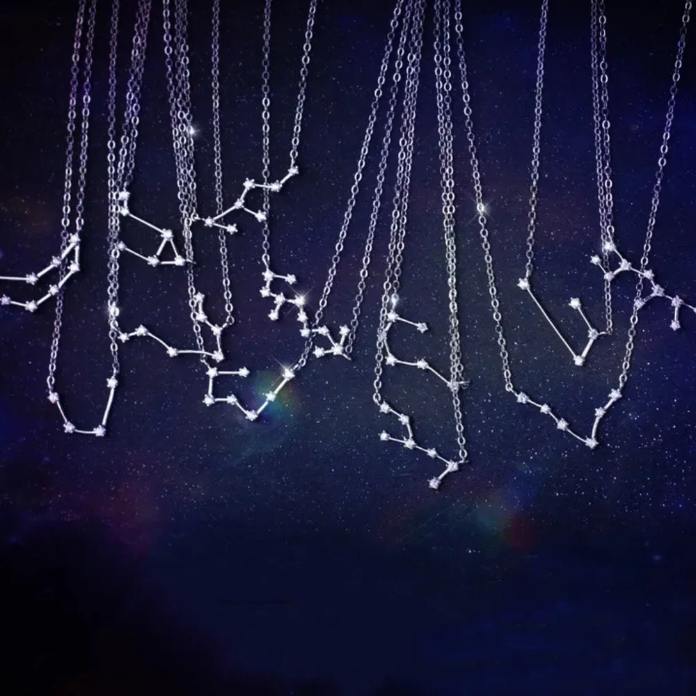 925 Silver Capricorn Zodiac Necklace - Image 5