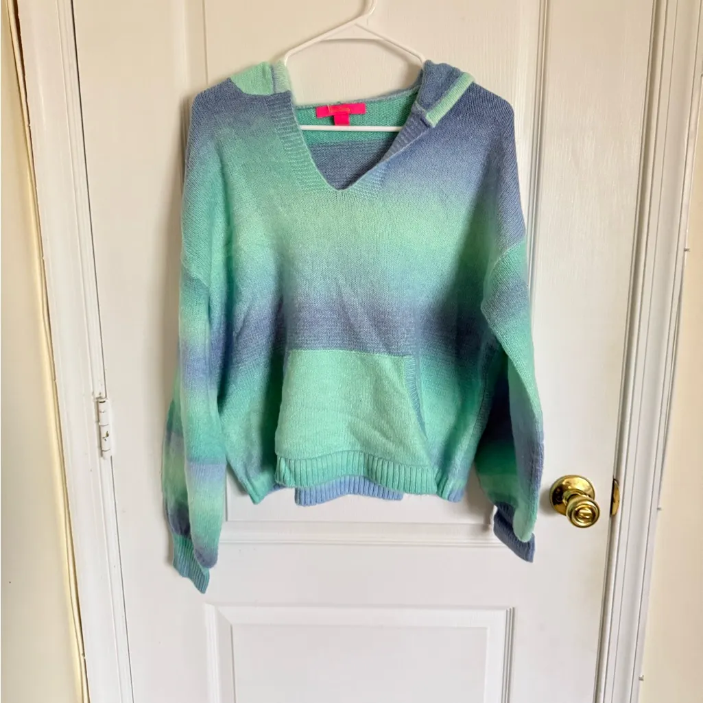 Lilly Pulitzer  Wanetta Sweater in Surf Blue Space Dye - Image 5