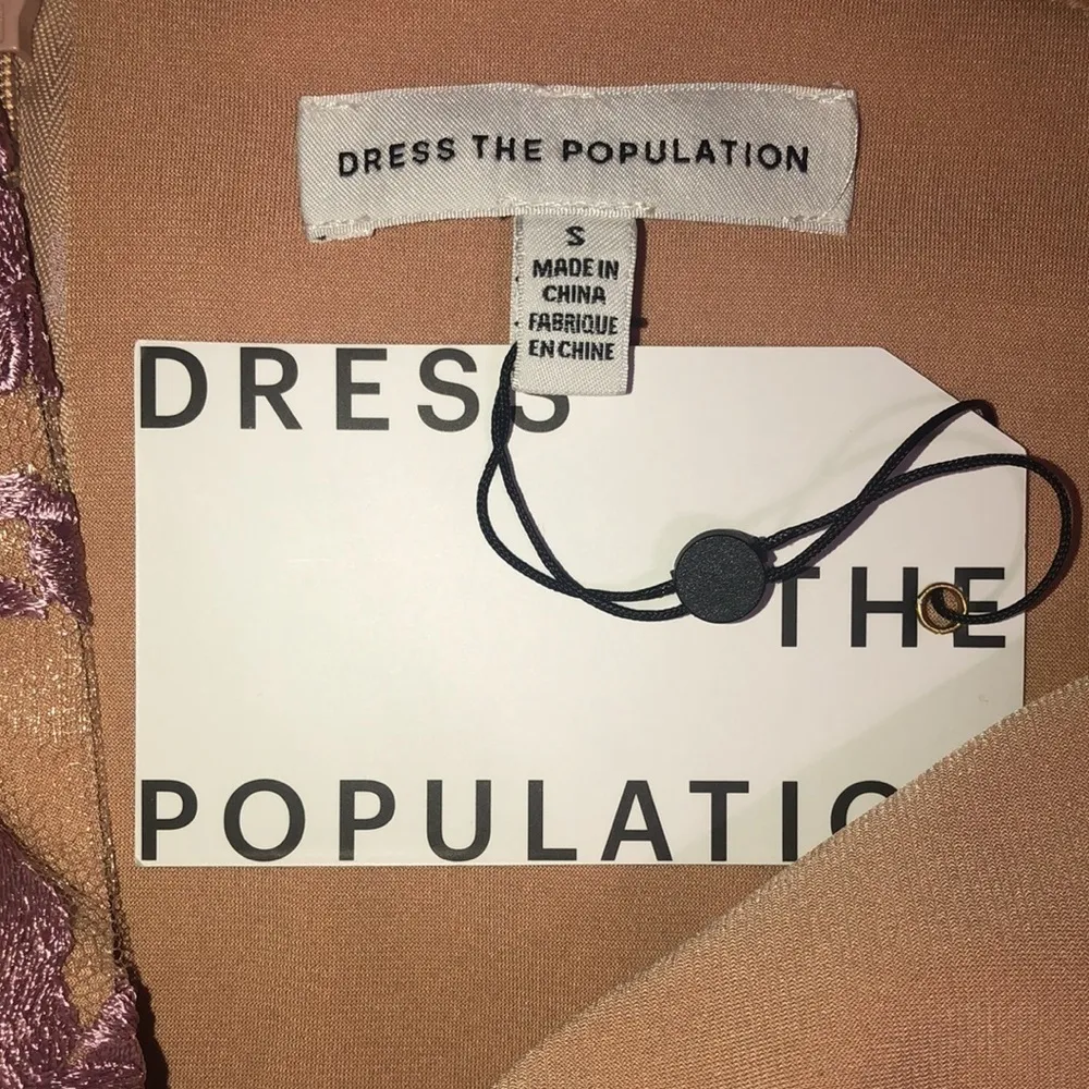 Dress the Population Audrey Sheer Floral Overlay A-Line Sleeveless V-Neck Dress - Image 9