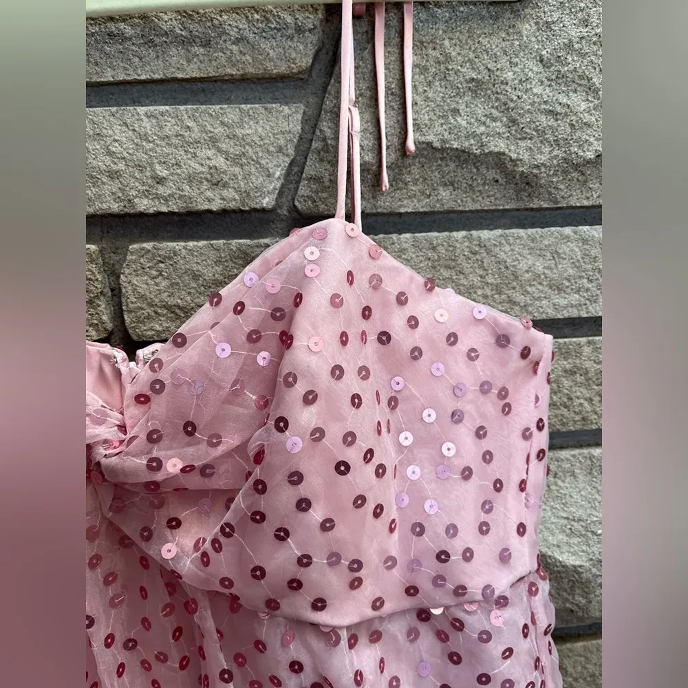 Cinq a Sept Jae Dress Pink Quartz Sequin Ruffle Party Prom size 8 - Image 13