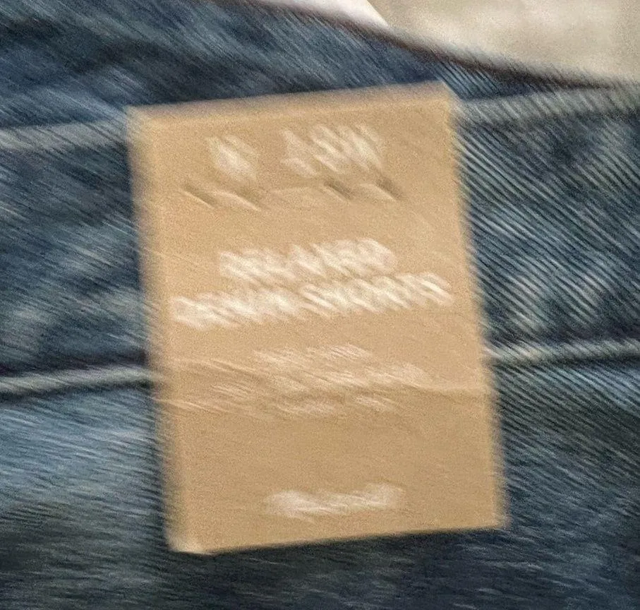 NWT Madewell blue denim relaxed short - Image 4