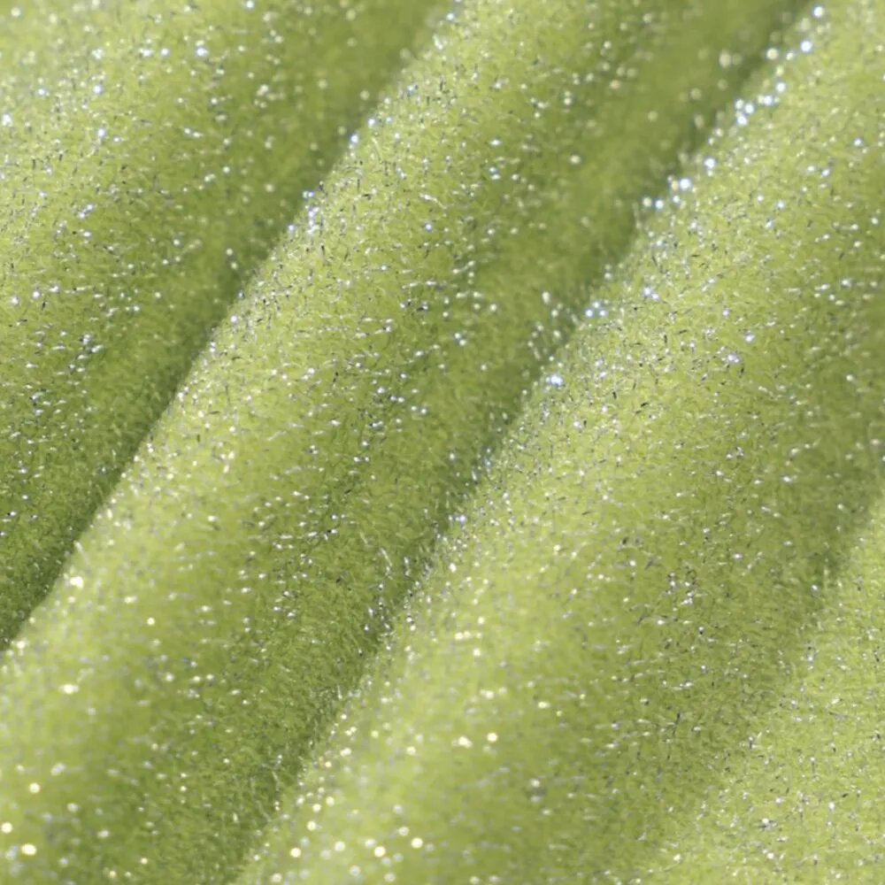 BERLOOK Light Green Lurex Cut Out Bikini Top ONLY 14 Size L - Image 8