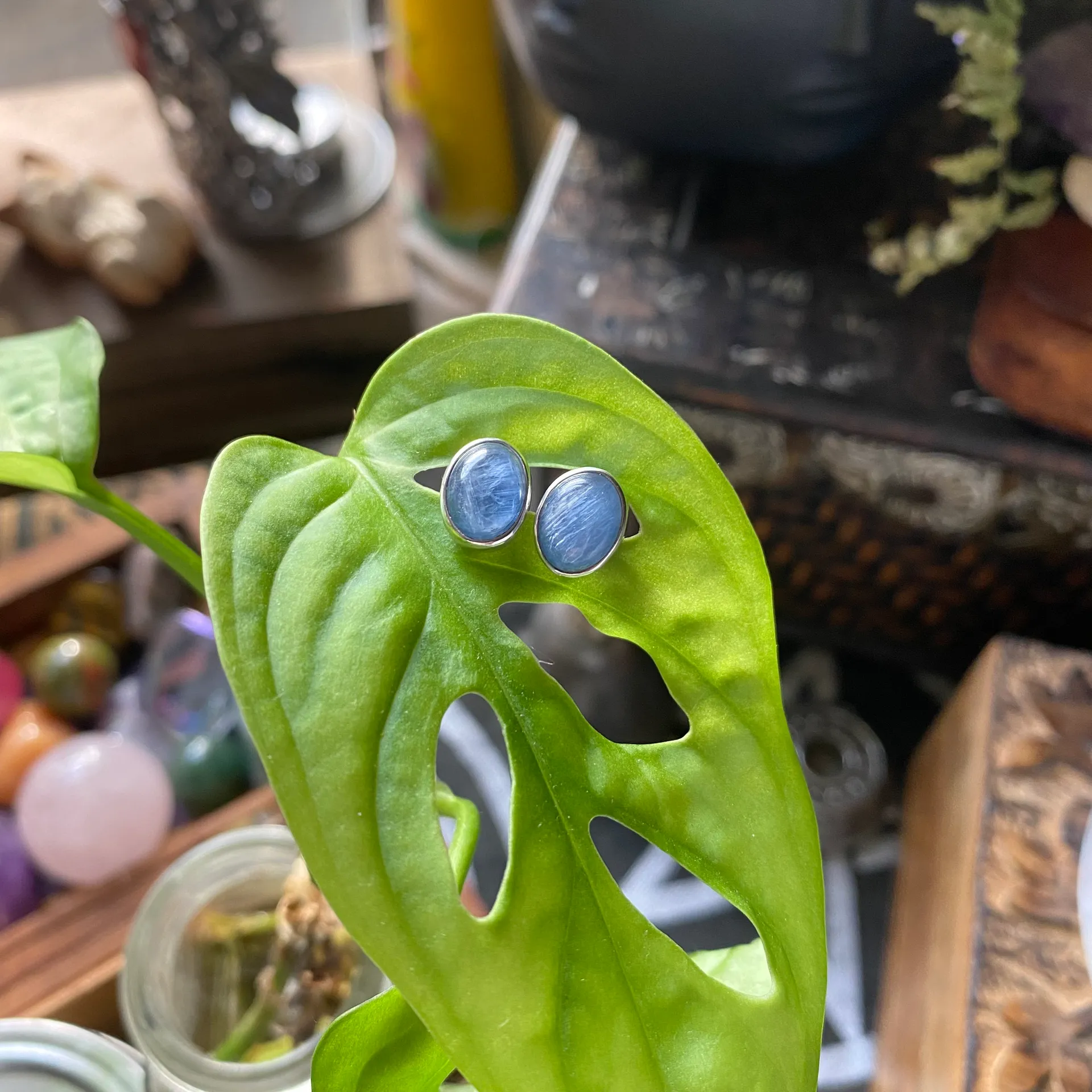 Blue Kyanite Sterling Gemstone Stud Earrings - Image 4