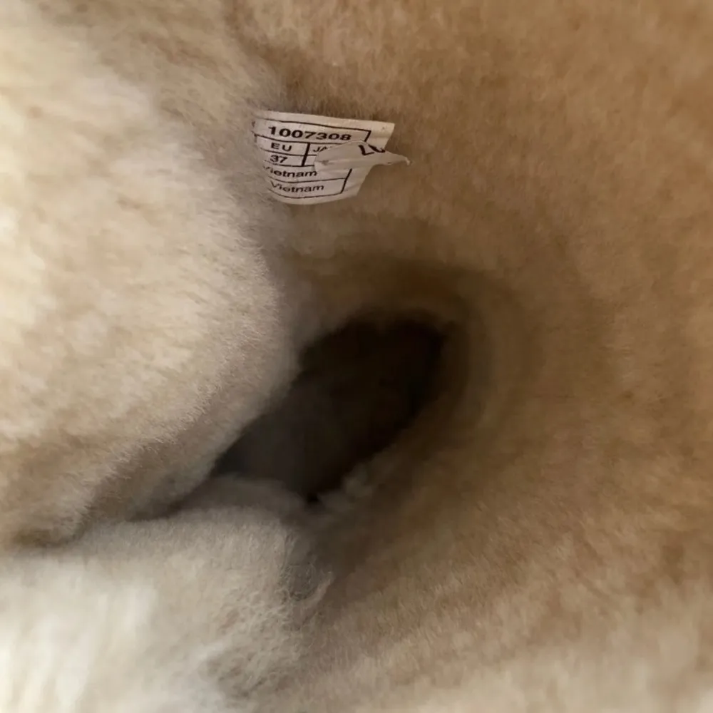 UGG  Chesnut Bailey Bow Tall II Boots - Image 4