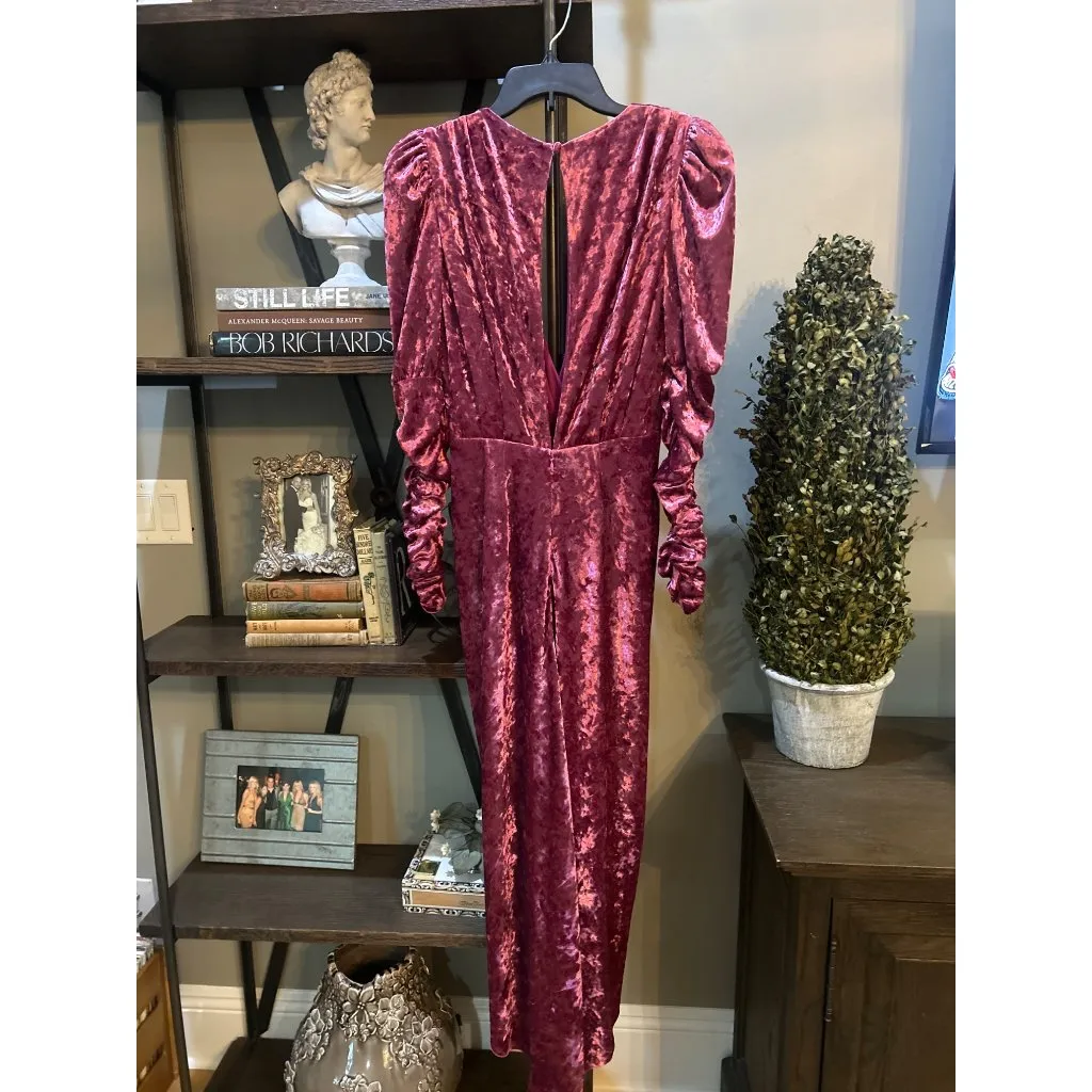 Ronny Kobo Velvet Alicia Dress Wine Purple Red Womens Size Medium - Image 9