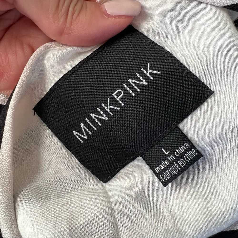 MINKPINK Wall To Wall Striped Floral Mini Dress Sz L - Image 5