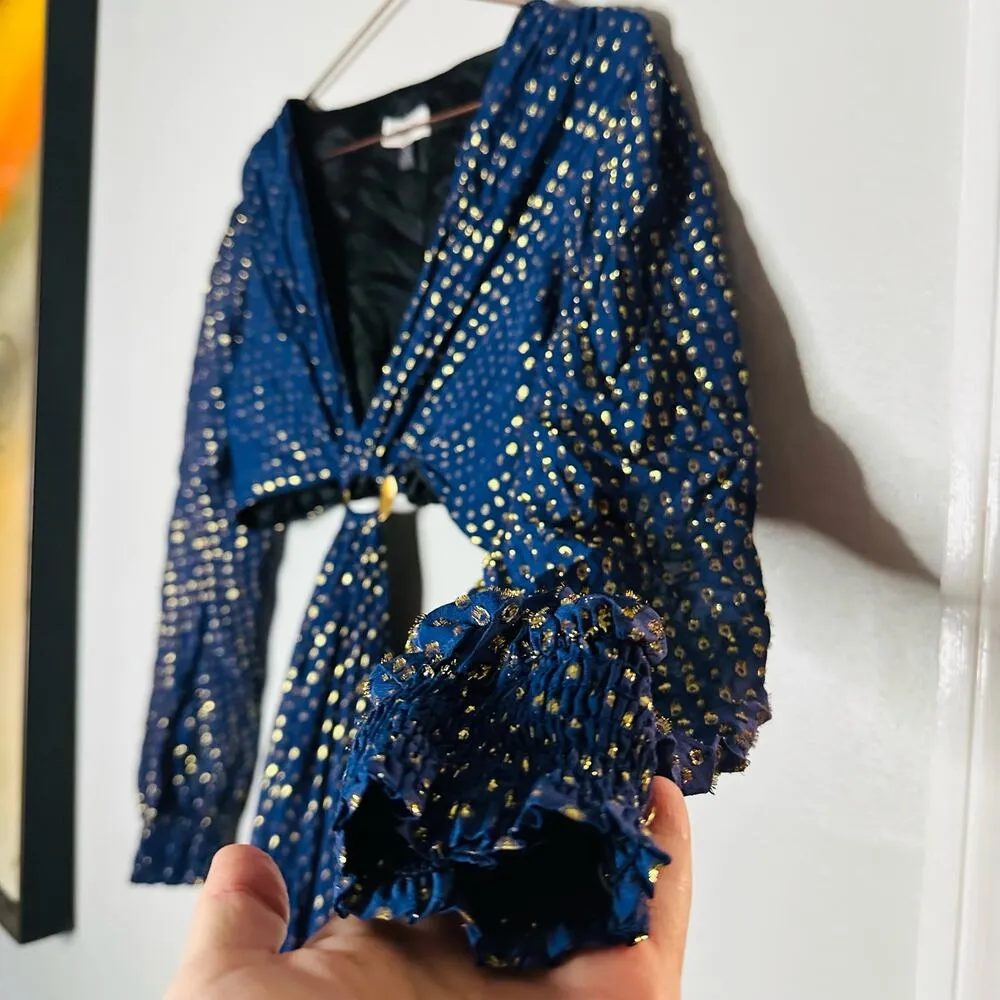 DELFI Collective Cerise Cutout Middle Blue Metallic Gold Dotted Gown Dress L Size L - Image 12