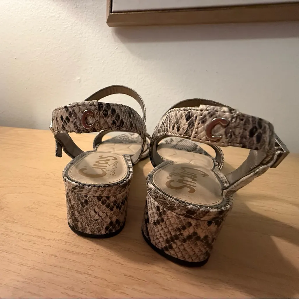 Circus by Sam Edelman Snakeskin Sandals - Image 8